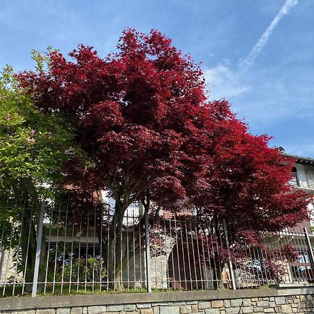 La Casa Di Nina - Traves Villa Pessinetto Kültér fotó
