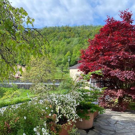 La Casa Di Nina - Traves Villa Pessinetto Kültér fotó